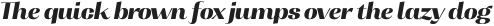 Tonus Contrast Heavy Italic otf (800)