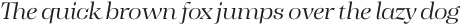 Tonus Display Light Italic otf (300)