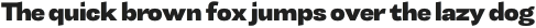 Tonus Sans Black otf (900)