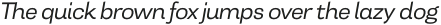 Tonus Sans Light Italic otf (300)