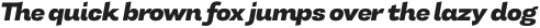 Tonus Sans Heavy Italic otf (800)