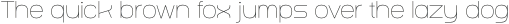Techead Thin otf (100)