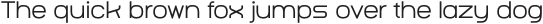Techead Light otf (300)