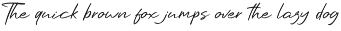 Beauty Wind Script preview