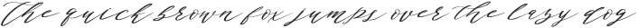 AuthumnSofiaScript otf (400)