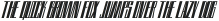 Nullomis Cndsd Extra Bold Oblique otf (700)