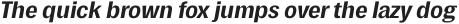 Polarity ExtraBold Oblique otf (700)
