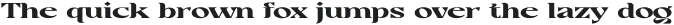 Casta Bold Expanded otf (700)