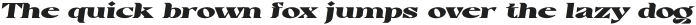 Casta Black Expanded Slanted otf (900)