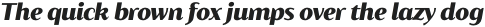 Blacker Sans Text Heavy Italic otf (800)