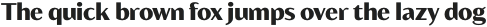 Blacker Sans Text Heavy otf (800)