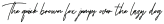 BillyOkma-Regular otf (400)
