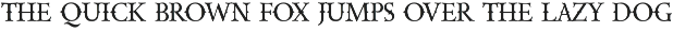 CAPORION Vectorian Serif Font preview