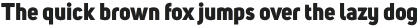 Uni Sans Heavy otf (800)
