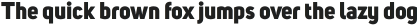Uni Sans Heavy ttf (800)