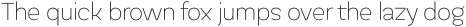 Globa Thin otf (100)