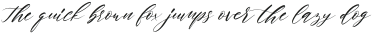 Rosadetta Slant otf (400)