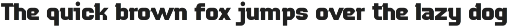 Mudhead Family | Sports Display Font preview