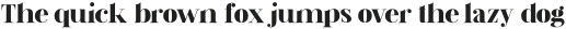DalglishBold otf (700)