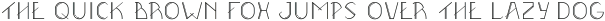 Doblin ttf (300)