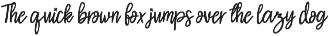 Reinstay - Brush Script Font preview