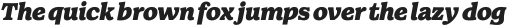 Walden Black Italic otf (900)