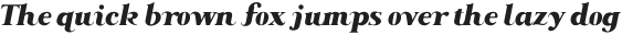 Along Serif BSC BlackItalic otf (900) Sample