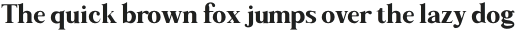 Along Serif BSC Bold otf (700) Sample