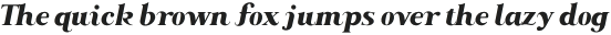 Along Serif BSC ExtraBoldItalic otf (700) Sample