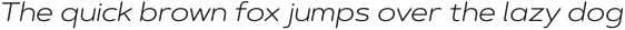 Artegra Soft Ex Light Italic otf (300)