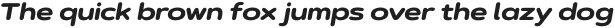 Artegra Soft Ex ExtraBold Italic otf (700)