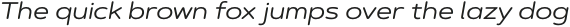 ArtegraSoftEx-RegularItalic otf (400)