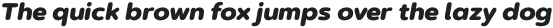 Artegra Soft Black Italic otf (900)
