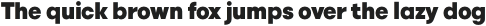 Izmir Medium Italic otf (500)