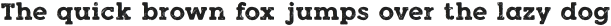 Woodman Heavy Grunge otf (800)