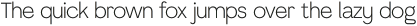 Aurora Grotesk Light otf (300)