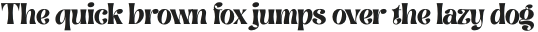 BrasikaDisplay otf (400)