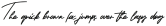 Georgiess Signature otf (400)