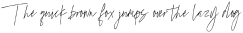 MarvelousPhotographScript-Reg otf (400)