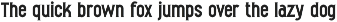 Ernesto Serif Vintage preview