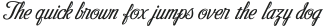 Victory Script Victory Script otf (400)