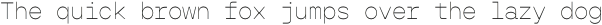 Gopher Mono Thin otf (100)