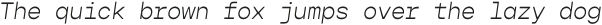 Gopher Mono Light Italic otf (300)