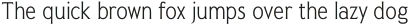 Pseudonym Narrow Light otf (300)