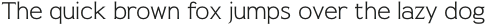 Pseudonym Wide Light otf (300)
