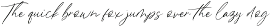 Fast Line Brush Script preview