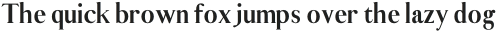 Adren Extra Bold Italic otf (700)