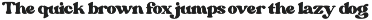 Margin - Retro Serif Font font preview