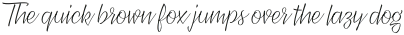 XXII CoolScript Thin otf (100)