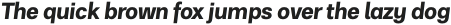 RNS Physis ExtraBold Italic otf (700)